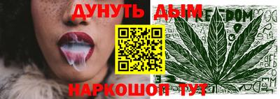 сатива Гудермес