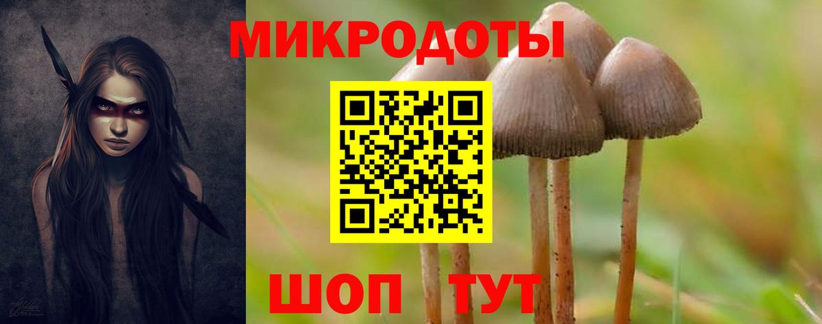Галлюциногенные грибы прущие грибы  Вход с VPN  Назрань 